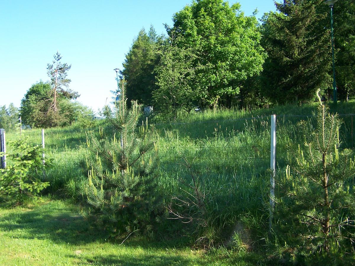 Lodge Kampingowy Letniskowy Zdroj